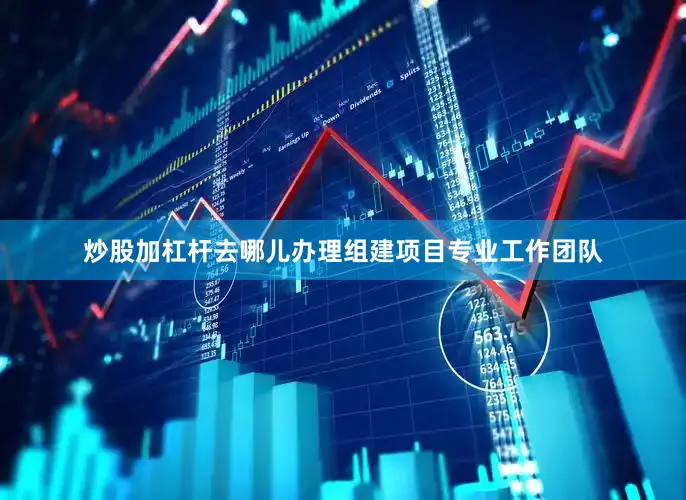 炒股加杠杆去哪儿办理组建项目专业工作团队