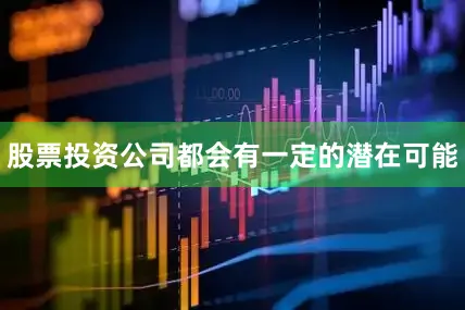 股票投资公司都会有一定的潜在可能