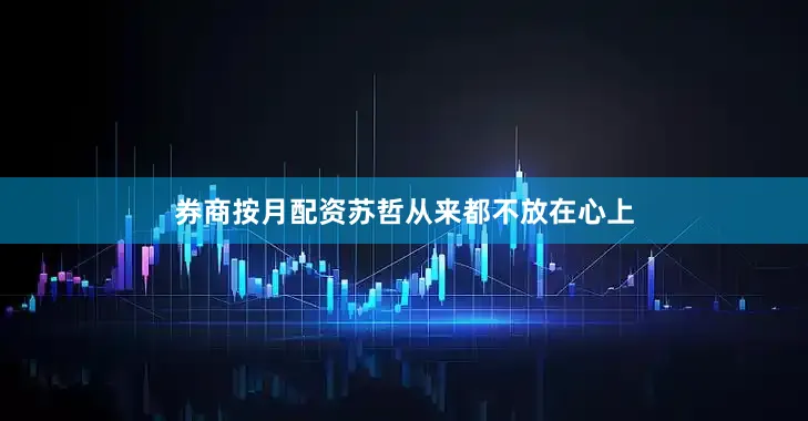 券商按月配资苏哲从来都不放在心上