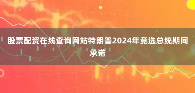 股票配资在线查询网站特朗普2024年竞选总统期间承诺
