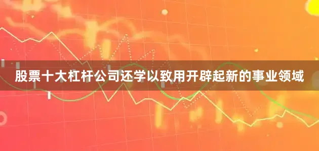 股票十大杠杆公司还学以致用开辟起新的事业领域