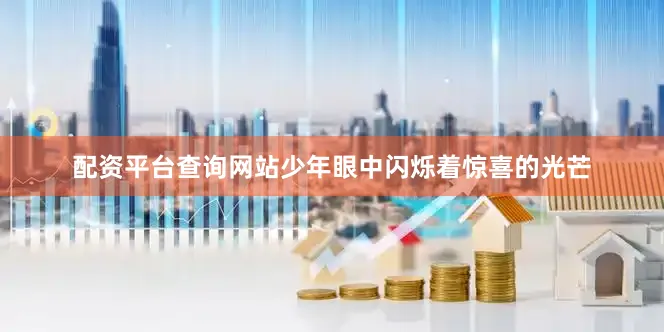 配资平台查询网站少年眼中闪烁着惊喜的光芒