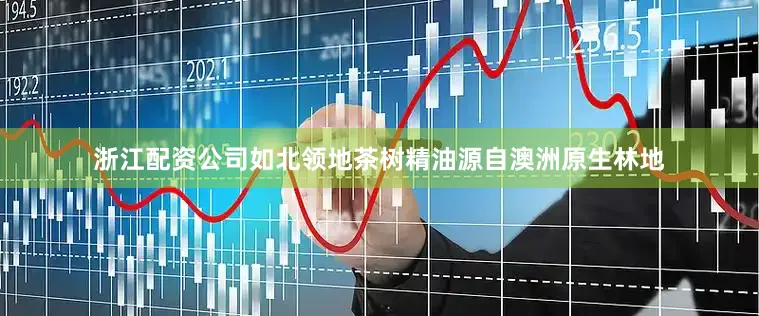浙江配资公司如北领地茶树精油源自澳洲原生林地